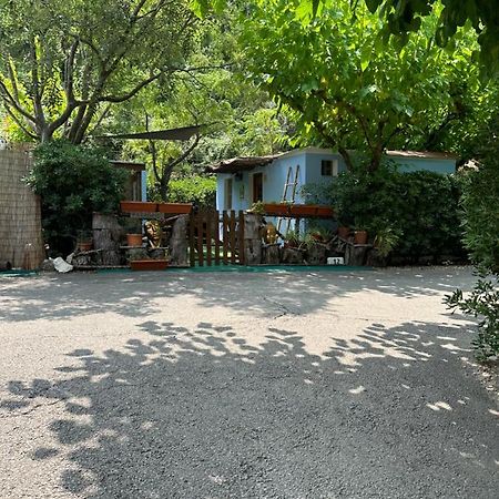 מלון Xàtiva New Paradaise Art Gallery מראה חיצוני תמונה