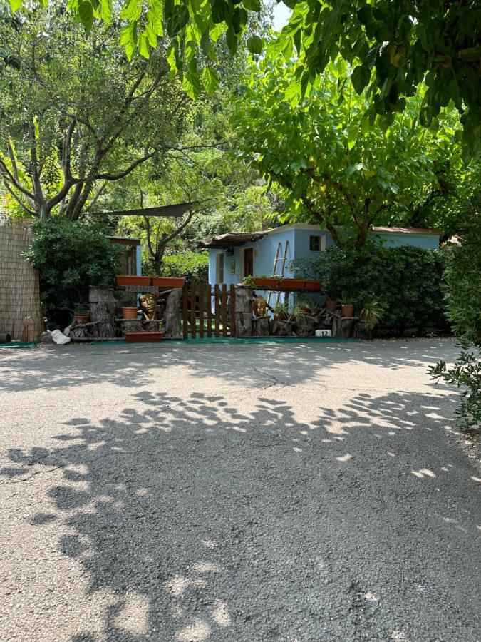 מלון Xàtiva New Paradaise Art Gallery מראה חיצוני תמונה