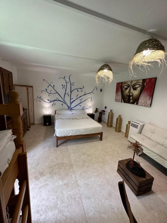 מלון Xàtiva New Paradaise Art Gallery מראה חיצוני תמונה