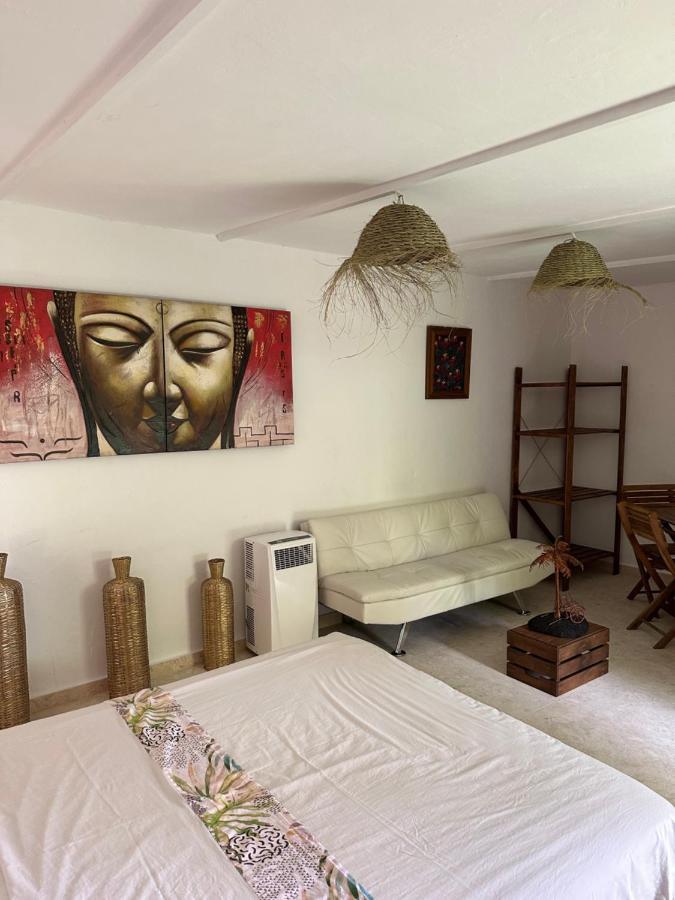 מלון Xàtiva New Paradaise Art Gallery מראה חיצוני תמונה